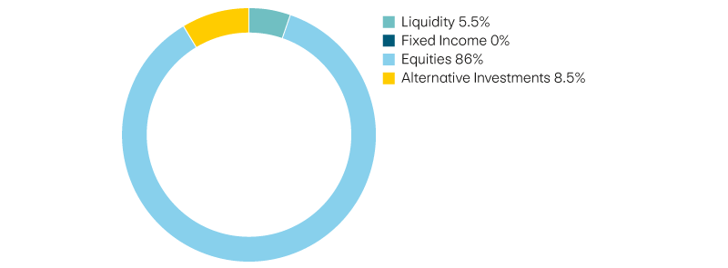 Liquidity 5,5%, income 0%, equities 86%, alternative investments 8,5%