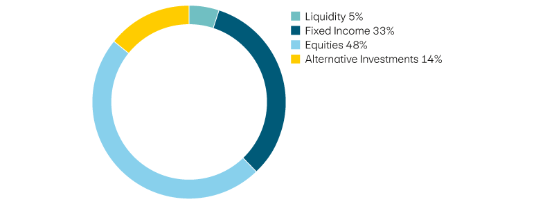 Liquidity 5%, income 33%, equities 48%, alternative investments 14%