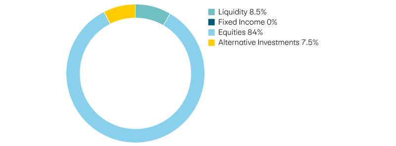 Liquidity 8,5%, income 0%, equities 84%, alternative investments 7,5%