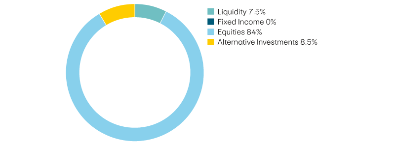 Liquidity 7,5%, income 0%, equities 84%, alternative investments 8,5%