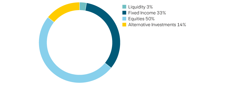 Liquidity 3%, income 33%, equities 50%, alternative investments 14%