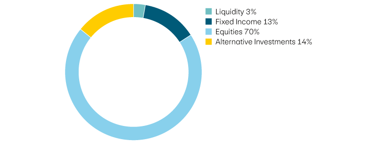 Liquidity 3%, income 13%, equities 70%, alternative investments 14%