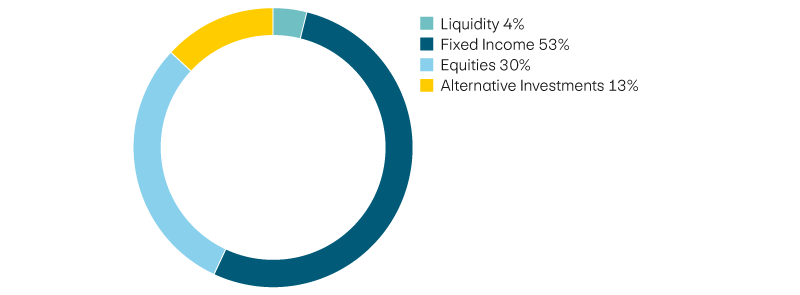 Liquidity 4%, income 53%, equities 30%, alternative investments 13%