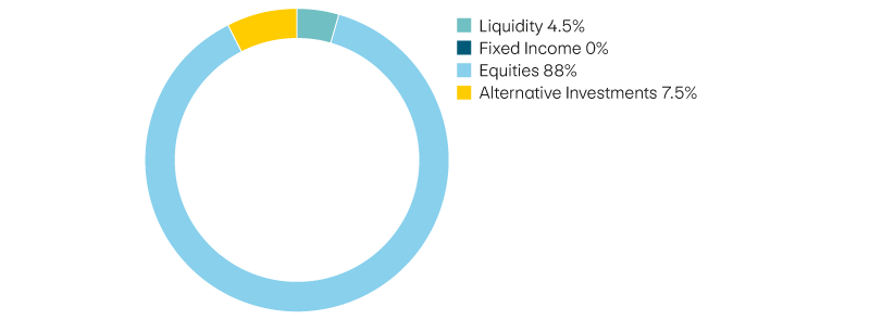 Liquidity 4,5%, income 0%, equities 88%, alternative investments 7,5%