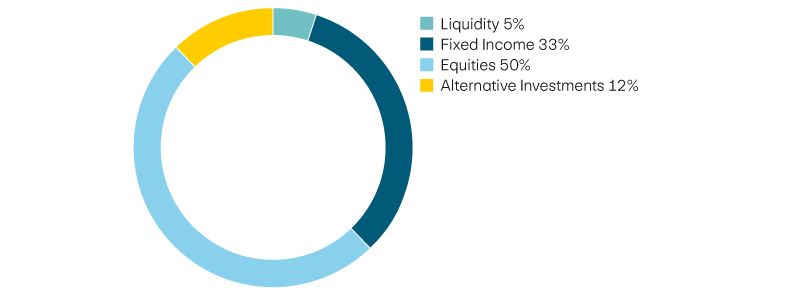Liquidity 5%, income 33%, equities 50%, alternative investments 12%