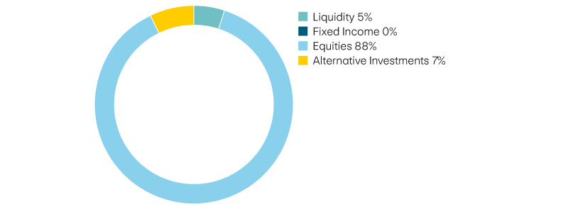 Liquidity 4,5%, income 0%, equities 88%, alternative investments 7,5%