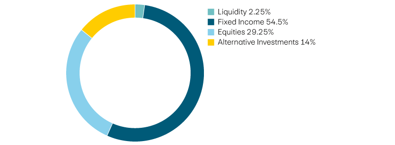 Liquidity 2,25%, income 54,5%, equities 29,25%, alternative investments 14%