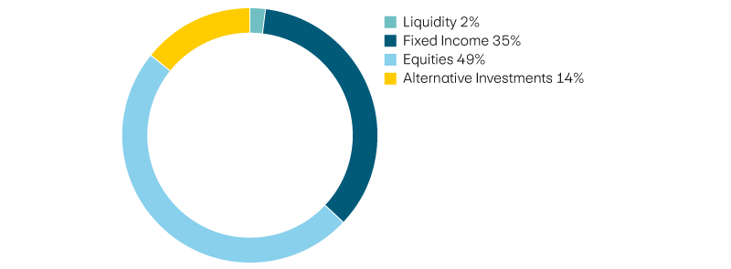 Liquidity 2%, income 35%, equities 49%, alternative investments 14%