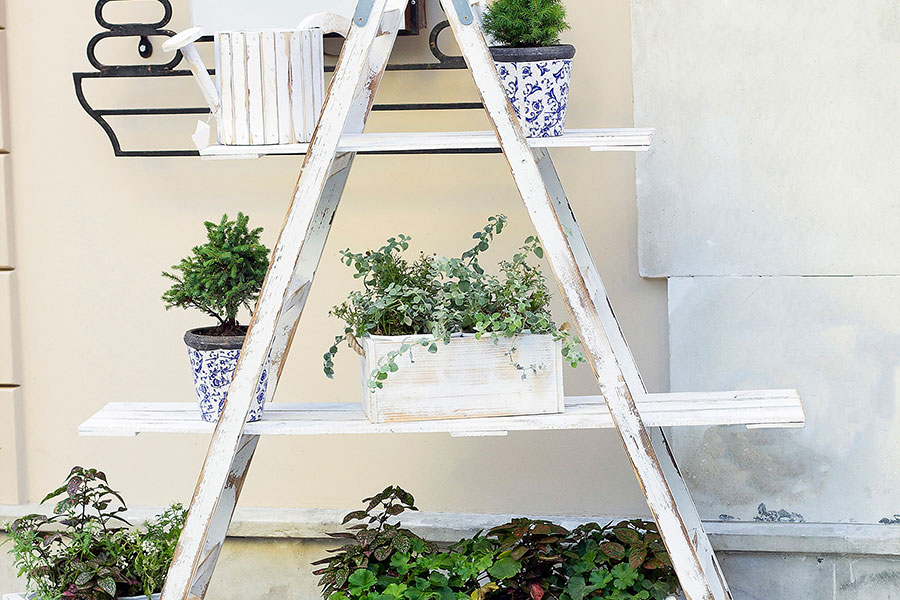 Das Bild zeigt eine alte Leiter, die mit Brettern zu einem Regal umgenutzt wurde und nun als Pflanzenregal dient –  DIY-Ideen für Upcycling-Materialien