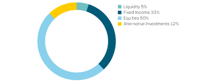 Liquidity 5%, income 33%, equities 50%, alternative investments 12%