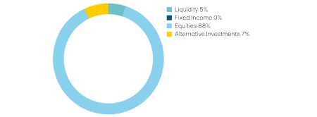 Liquidity 5%, income 0%, equities 88%, alternative investments 7%