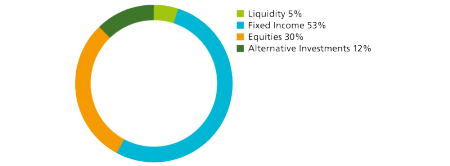 Liquidity 8%, fixed income 53%, equities 30%, alternative investments 12%